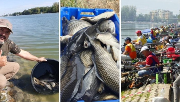 През следващия уикенд в Пловдив ще се лови много риба