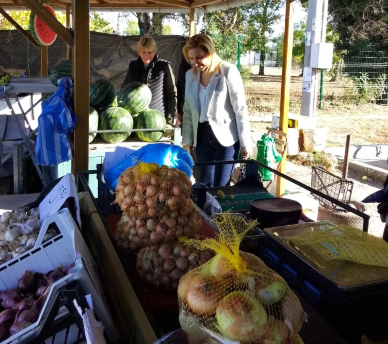 Виолета Христодулова: Създаването на тържище за земеделска продукция, е възможното решение и за провеждане на нов модел на социална политика