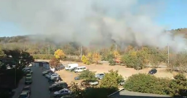 Три пожарни коли гасиха сухи треви във варненския квартал Владиславово