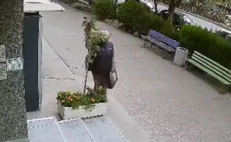 Постъпка на възрастна дама в Пловдив раздели мрежата на две