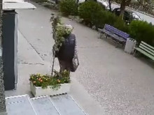Постъпка на възрастна дама в Пловдив раздели мрежата на две