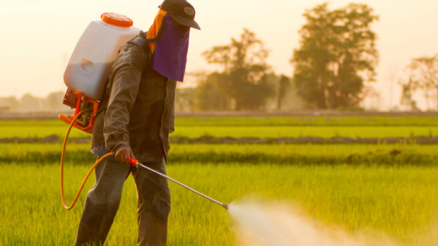 Пестицидите сериозно увреждат мозъка при тийнейджърите Те са по уязвими тъй