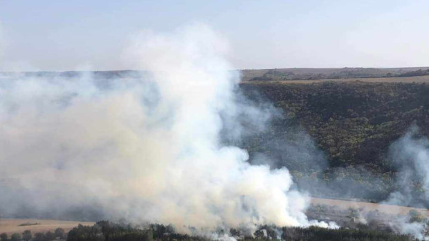 Пожар край ветринското село Невша е възникнал вчера следобед На