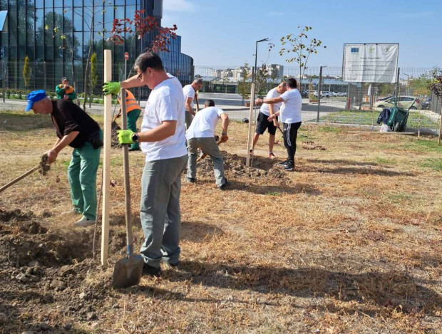 TD Екипът на Елекроразпределение Юг засади 30 дръвчета в район Тракия