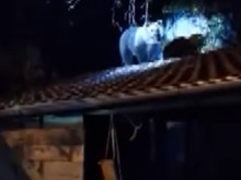 ���� ���� � ������� � �� ������ �� ������� �� ���� � ���� ����