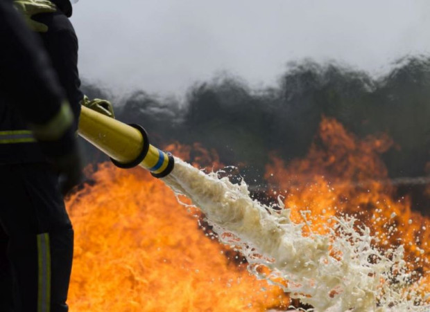 Огнеборци спасиха 100 дка гора от пожар съобщиха от ОДМВР Силистра Огнеборци