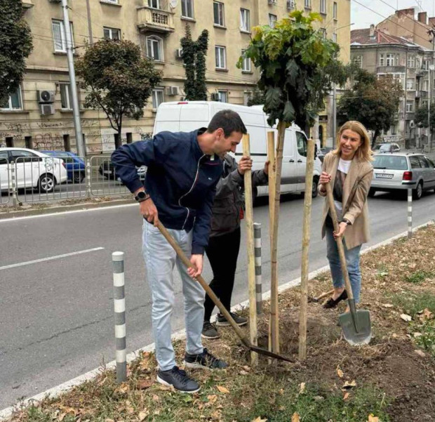 Засаждат нови дървета в София