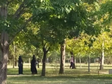 Опасност дебне в пловдивски парк?