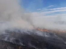 Пожар в държавно ловно стопанство "Чекерица" край Пловдив