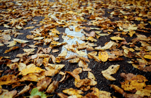 Есенният дъжд примесен с есенния листопад отвори проблем на варненци