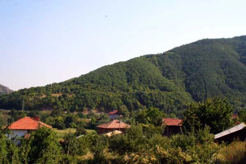 Изборен куриоз в родно село