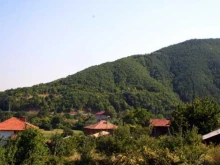 Изборен куриоз в родно село
