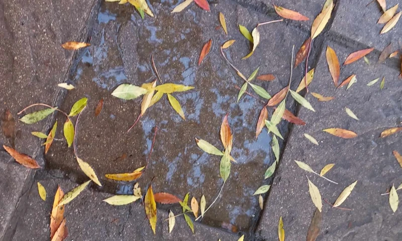 ����������: �� ���� ��� ����� ������� ����, ������� ���������� ���� �� ��� �����