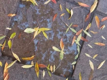 ����������: �� ���� ��� ����� ������� ����, ������� ���������� ���� �� ��� �����