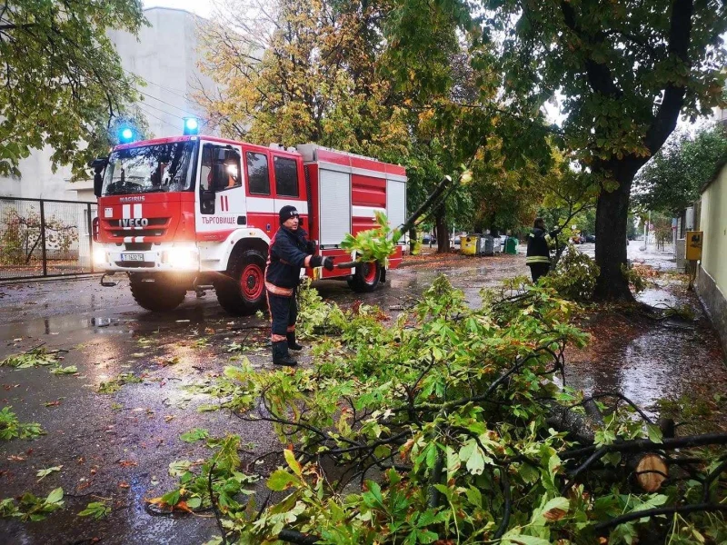 Голямо дърво падна върху къща в Добротица