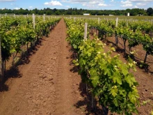 ���� 369 ������� �� ����� ������� � ������� ���������� ���������� �� ������� ���� �� ������