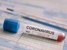 COVID-19 ��� ��� ���� ������� ������ � ���