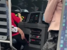���������: ���� � ������� �� ������ ������� �� �������� ��������� � �������