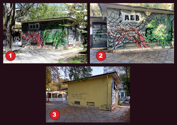 Един много хубав графит нарисуван във Варна изчезна заради вандалска