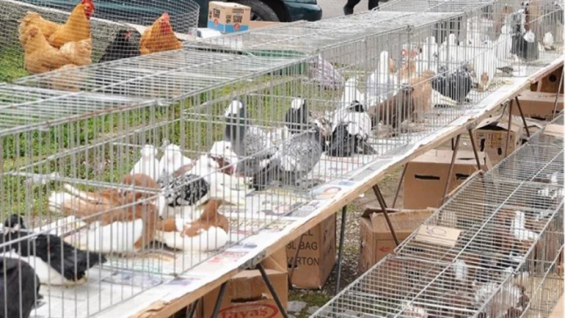 Забраниха бизнес, практикуван от много българи