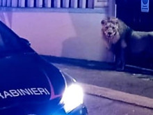 �� �������� �� �����: ��� ������ �� ���� � ������ � �� ������� ������� ����