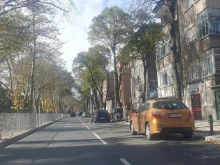 Кметът за наглеците по пловдивския булевард: Ако има знаци, ще има глобени