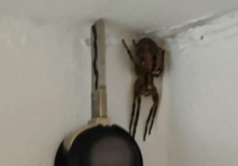�������� �������� ��� ����: ������� ������� ���� � ������� ��