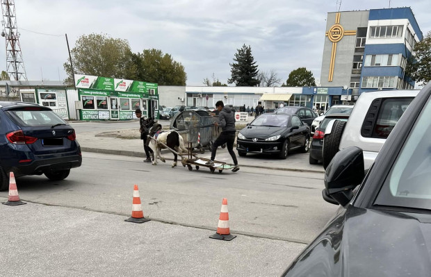 </TD
>Самоделна каруца с кон пред сектор Пътна полиция - Пловдив