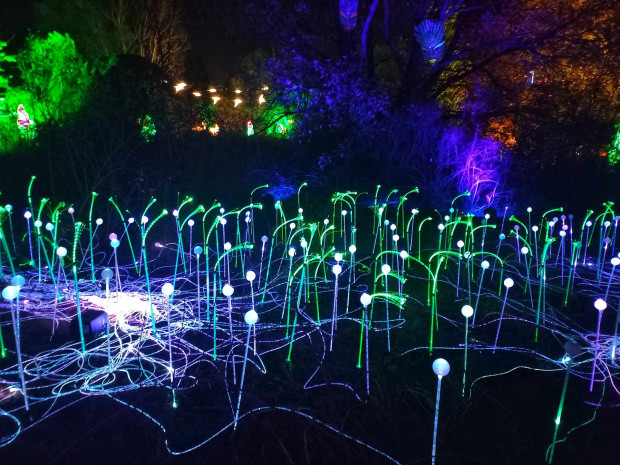 Истинско пиршество за сетивата със зашеметяващи LED скулптури, осветени храсти,
