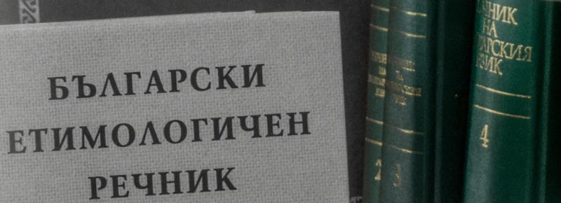 Доц. Кристияна Симеонова: У нашите политици тотално отсъства самоконтрол върху собствената им реч