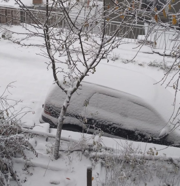 </TD
>Сняг вали в Родопите и високите части на планинската област