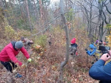 Кампания по залесяване на хиляда финданки в района на Чуката край Сливен