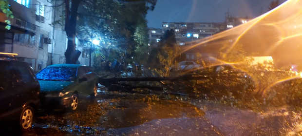 Ситуацията във Варна заради бурния вятър е много опасна към