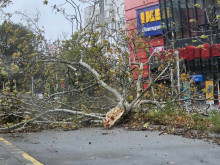 Вижте щетите във Варна, обстановката остава усложнена в областта