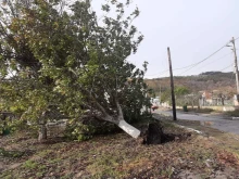 Частично бедствено положение и неучебен ден утре в Девня