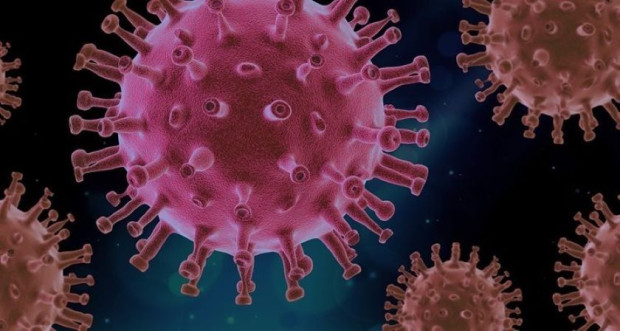 272 са новите случаи на коронавирус у нас  Направени са 3