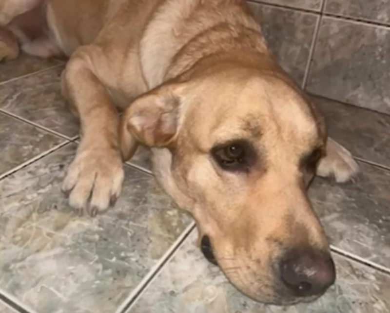 �������� ���� � ������� ����: �������������� �� ������ �� ������� �������� ����