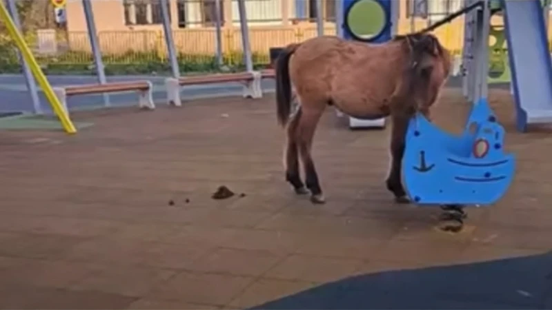 � �������: ��� ����� ����� �� ���������� �����