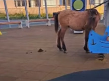 ���� ������: ��� ����� ����� �� ���������� �����