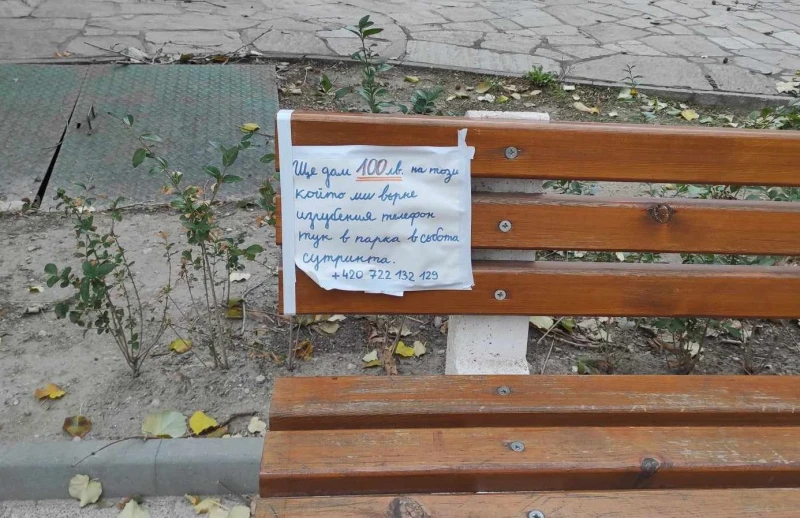 В Пловдив дават 100 лева за изгубен телефон
