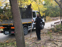 Часове преди новата буря - курсанти от Морско училище чистиха един от символите на Варна