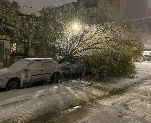 </TD
>Първият сняг за този сезон в Пловдив доста усложни обстановката.