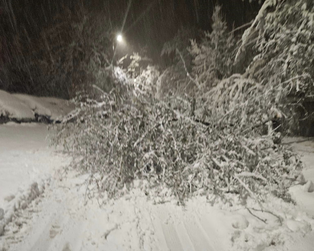 До 60 см достига снегът на места във Великотърновска област