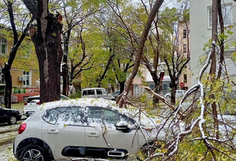 Зловещо като във филм на ужасите: Огромен клон на дърво се заби директно в кола