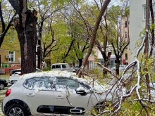 Зловещо като във филм на ужасите: Огромен клон на дърво се заби директно в кола