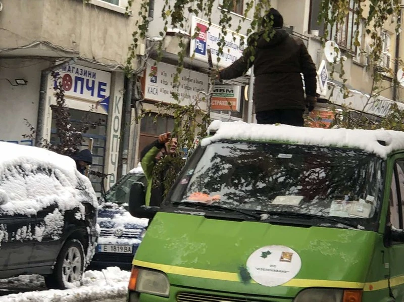 Продължава разчистването на паднали дървета и клони в Благоевград 