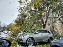Иван Стоянов: Ситуацията в Пловдив може да се усложни заради силния вятър