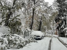 Паднали клони и провиснали кабели заради снега в Дупница