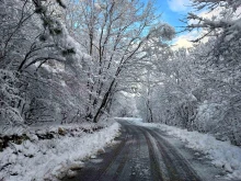 Около 20 см. сняг във високите части на община Асеновград