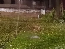 Щеше да е смешно, ако не беше тъжно: Поливат градинка в Пловдив в снега
